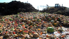 Last year, 10.2 million tonnes of food were wasted in the UK